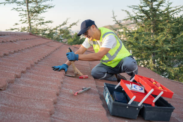 Roof Gutter Cleaning in Mansfield, OH